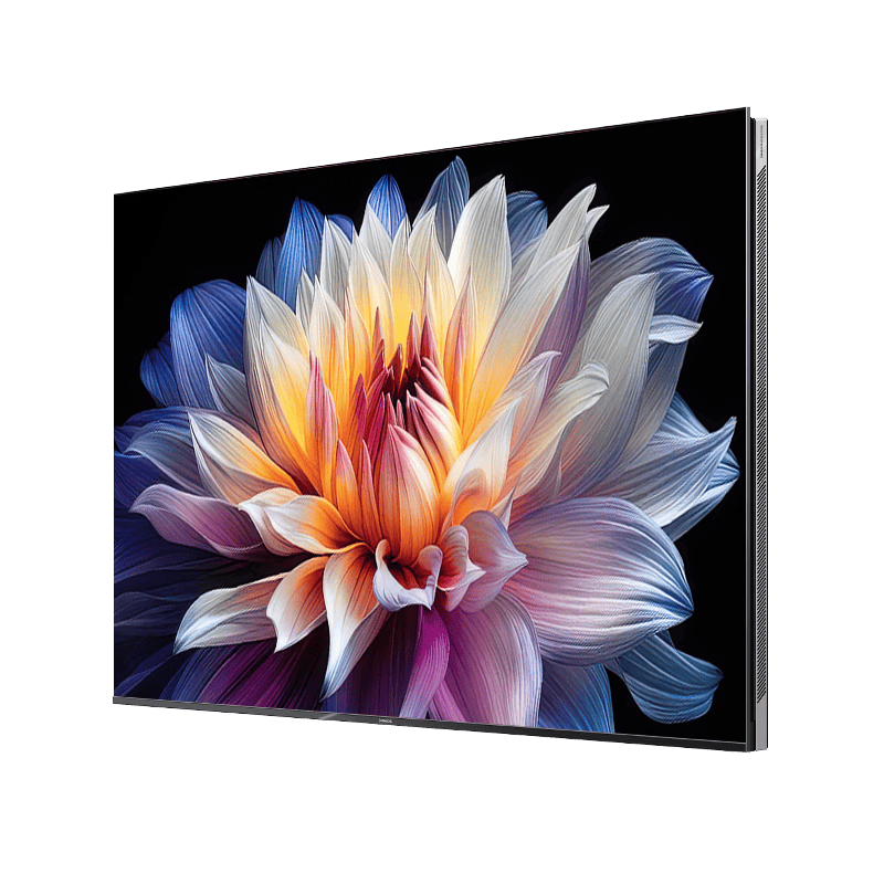 居新体验：五款必备电视推荐j9国际站登录